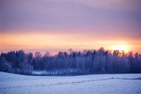 Peaceful Winter Landscape At Sunset Stock Image Image Of Sunset