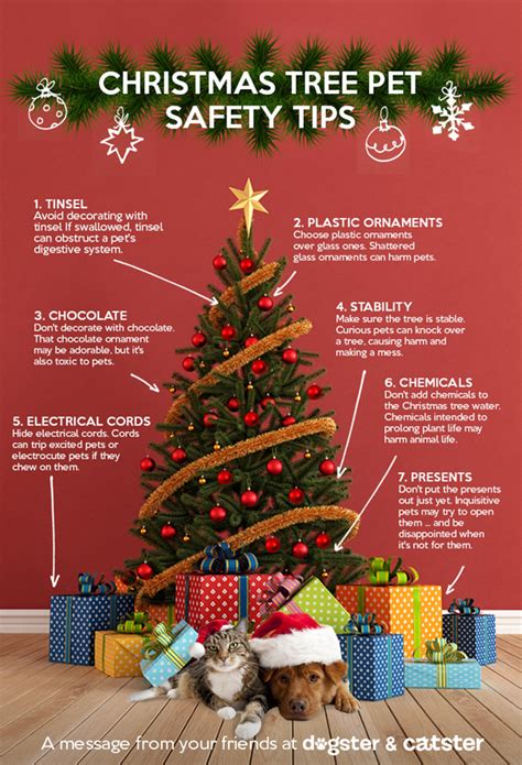 Infographic Keep Your Pets Safe Around The Christmas Tree