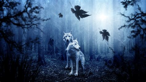 Download all photos and use them even for commercial projects. Wolf Predator Forest 4k wolf wallpapers, photography ...