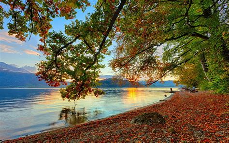 Sunrise At Autumn Lake Fall Bonito Trees Lake Beach Lakeside