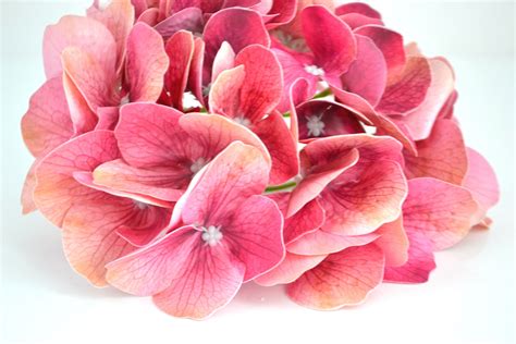 antique pink hydrangea artificial flowers silk flower fake etsy