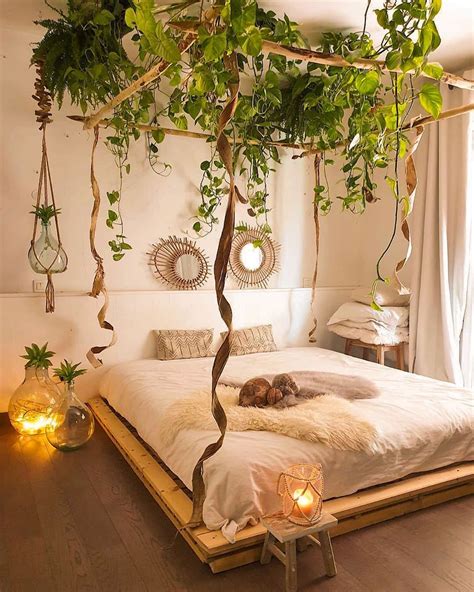 Houseplantopia 💚🌿 On Instagram Wow Can We Just Take A Minute Too