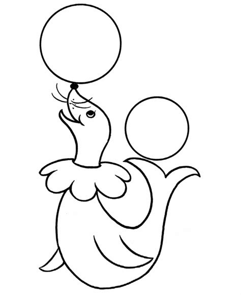 Circus Seal Coloring Page In 2021 Animal Coloring Pages Circus Theme