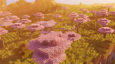 Full Cherry Blossom Trees Minecraft Texture Pack