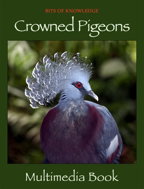 Crowned Pigeons By Winktolearn And Virtual Gs On Apple Books