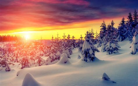 4k Snow Wallpapers High Quality Download Free