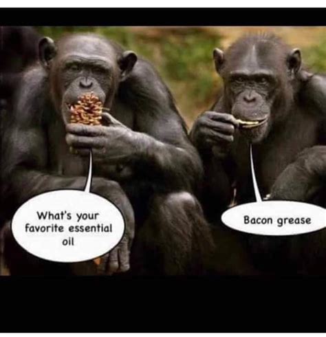 Chimpanzee Pictures And Jokes Funny Pictures And Best Jokes Comics