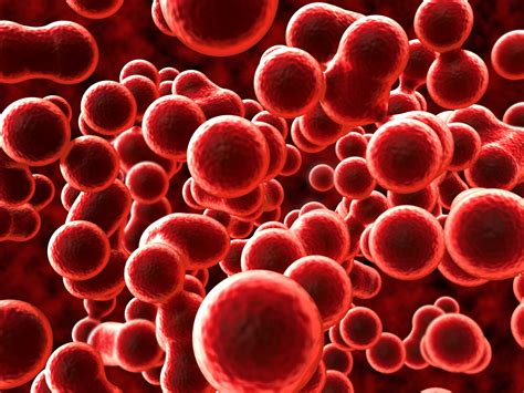 Avoiding Anemia Boost Your Red Blood Cells Amac The Association