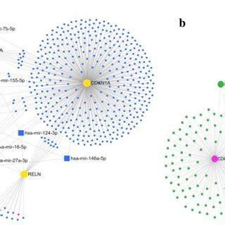 The Ppi Network Of Selected Common Degs Constructed By String Database