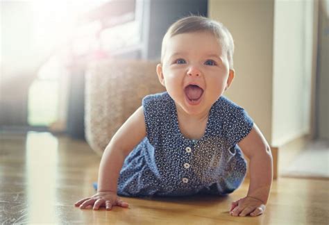 Bébé A 8 Mois Développement Motricité Éveil Santé Et Pour Bebe 6 Mois Eveil
