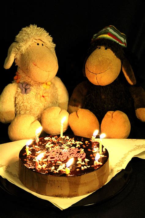 Geburtstage sind auch besondere anlässe und kuchen machen sie komplett. Geburtstagskuchen von Emily und Bob | Geburtstagskuchen ...