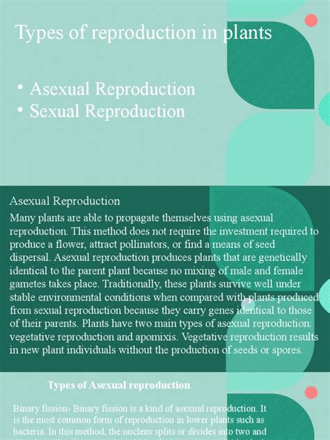 Biology Project Pdf Flowers Reproduction