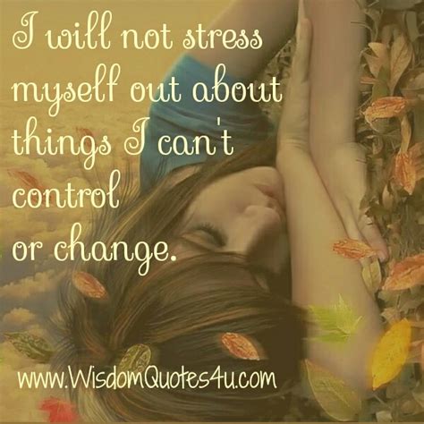 Dont Stress Yourself Out About The Things You Cant Change Wisdom Quotes