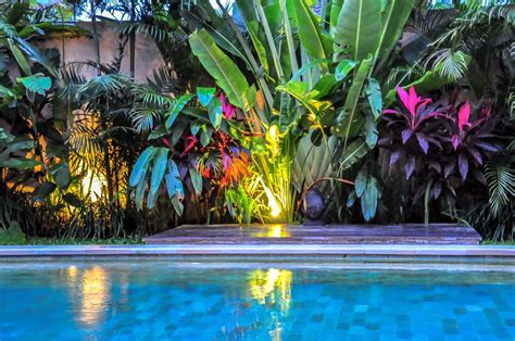 The Tiki Room Make Your Own Tiki Paradise Tropical Backyard