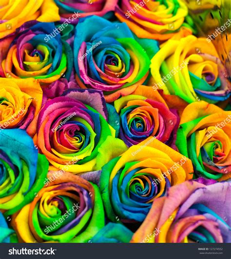 Gousicteco Neon Rainbow Roses Wallpaper Images