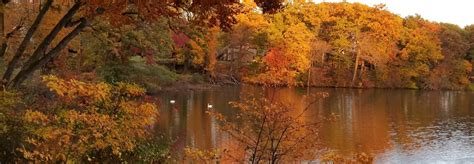 Maybe you would like to learn more about one of these? Shadow Lake Village Condominium Association - TaylorNow - Home