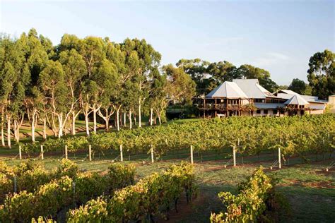 The List Of 6 Best Margaret River Wineries That You Cannot Miss