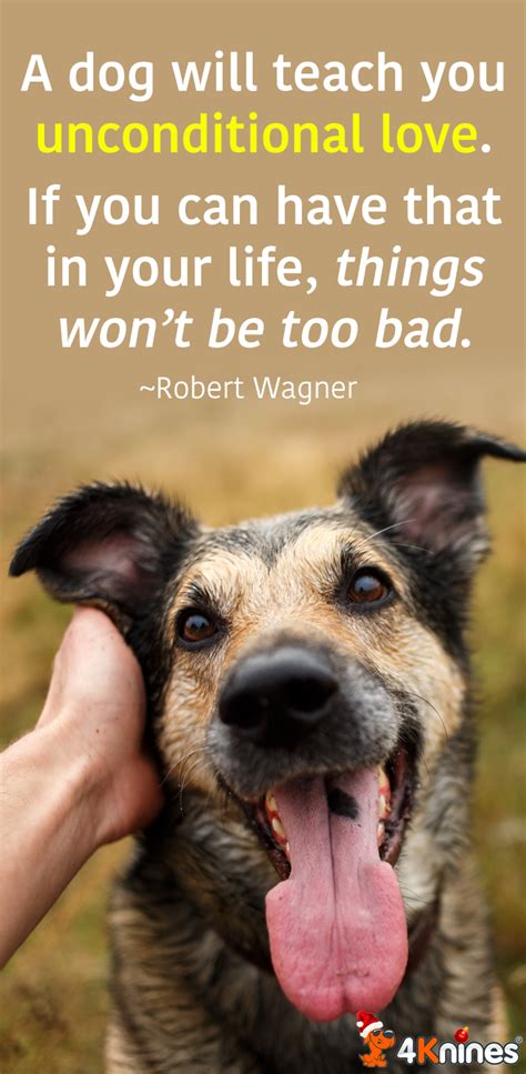 Quotes About Unconditional Love Dogs Quoteso