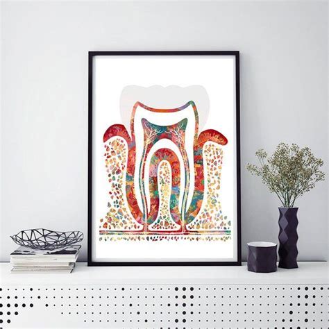 Molar Tooth Watercolor Print Molar Poster Section With Enamel Etsy