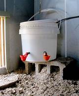 Images of Chicken Heated Watering Systems