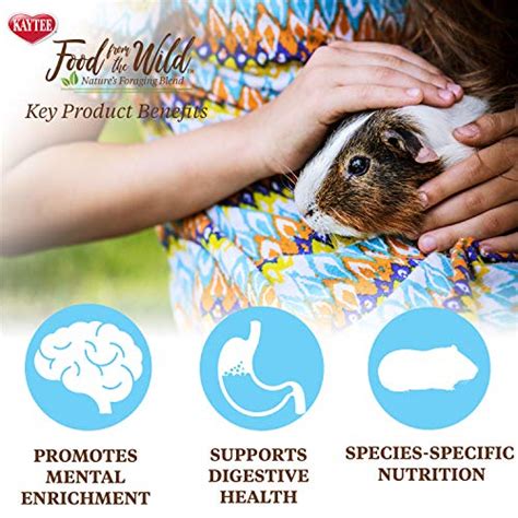 Kaytee Food From The Wild Natural Pet Guinea Pig Food 4 Pound Pricepulse