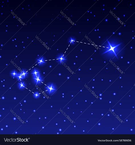 Constellation Of Carina In The Night Starry Vector Image