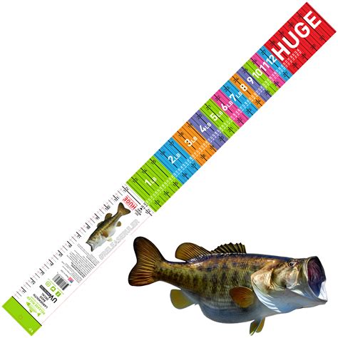 Largemouth Bass Ruler Decal Wide Series Release Ruler