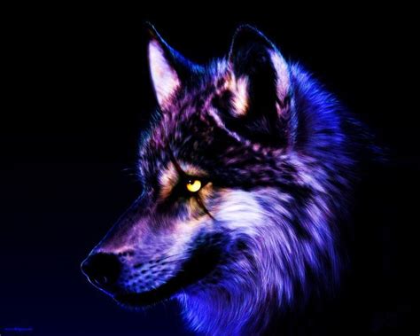 Pin By Paige V On Wildlife Wolf Wallpaper Wolf Background Wolf Pictures