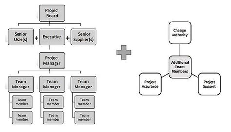 What Are The Roles And Responsibilities Of A Project Team