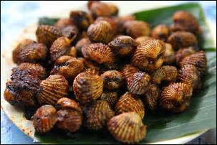 Ketuk cangkang kerang dan lihat reaksinya. Pensel Tumpul: Cara Untuk membersih dan mengopek kerang.