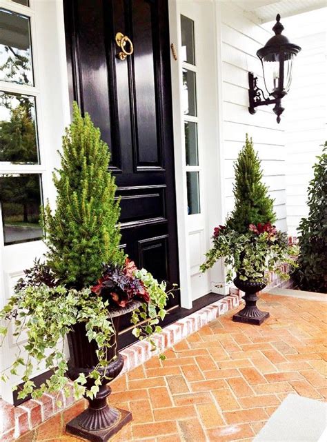 20 Best Plants For Front Door Planters