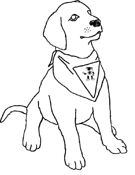 Labrador Drawing At Getdrawings Free Download
