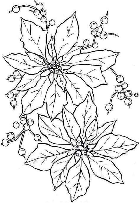 Watercolor christmas cards christmas drawing christmas paintings watercolor cards poinsettia flower christmas flowers christmas colors there is another craze is to draw patterns, flowers, mandala patterns in ink. Beautiful Poinsettia Flower Coloring Page: Beautiful ...