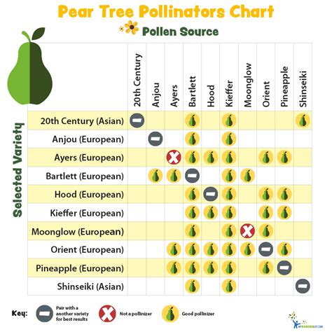 Fruit Tree Pollination Chart My Xxx Hot Girl