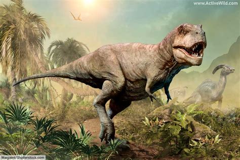 T Rex Dinosaur Facts Pictures And Info Meet The Real Tyrannosaurus Rex