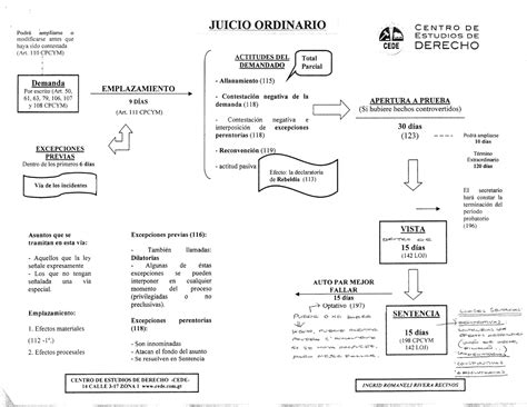 Esquema Juicio Ordinario Sumario Y Oral Derecho Procesal Civil Studocu