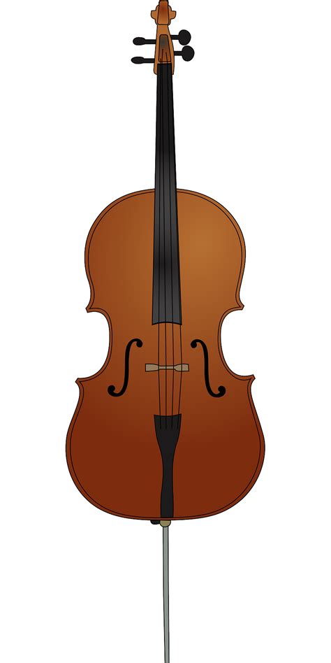 Cello Vector At Getdrawings Free Download