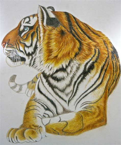 Recreación diccionario emoción imagenes de tigres para dibujar a lapiz