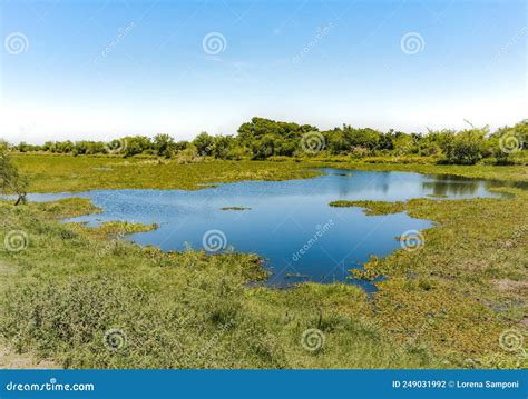 Landscape Of The Recently Opened Ibera Wetlands National Park