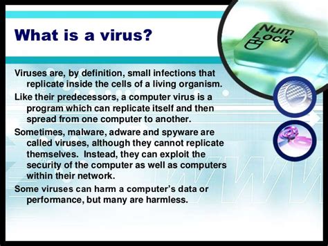 Computer viruses generally require a host program. Avoiding email viruses