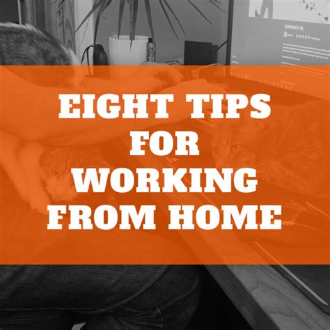 Eight Tips For Working From Home Amplitude Media