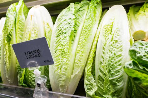 Toss Your Romaine E Coli Outbreak Hits 11 States Mtpr