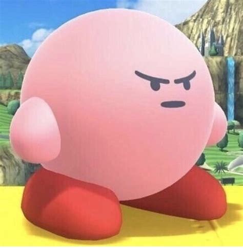 Pin By Heath Cleveland On The Sin Bin Kirby Memes Cute Memes Kirby