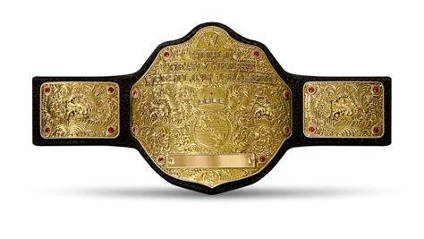 Big Gold Belt Wrestling Tv Tropes