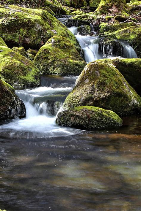 Smoky Mountains Stream Photograph By Carol Montoya Fine Art America