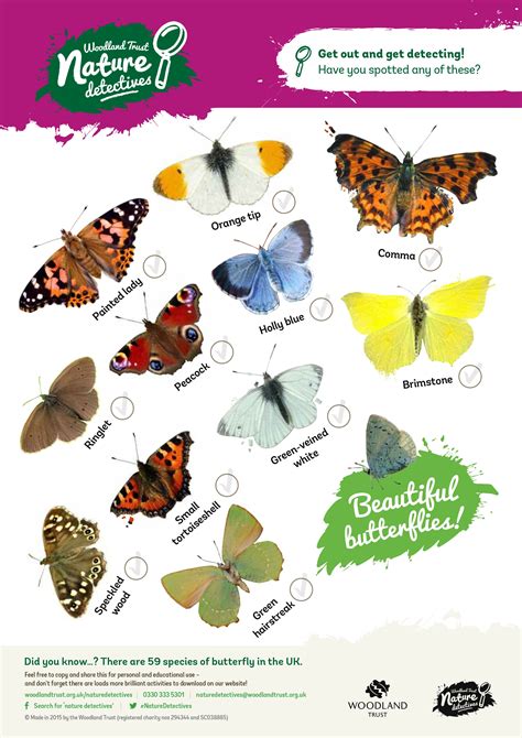 Use This Spotter Sheet To Identify Butterflies Fluttering In The