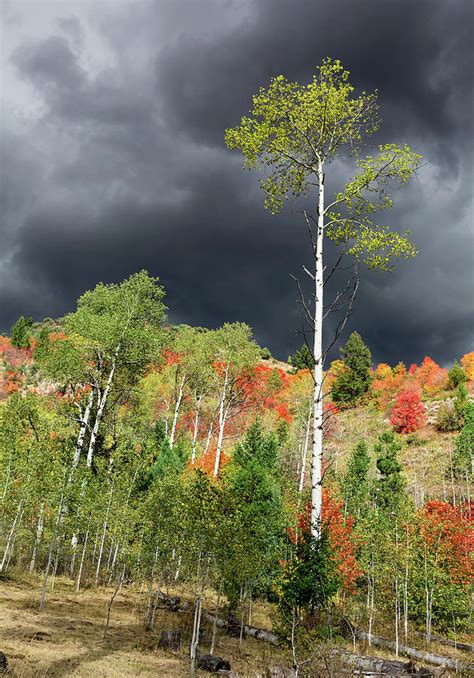 Autumn Storm Light Photograph By Kathleen Bishop Fine Art America