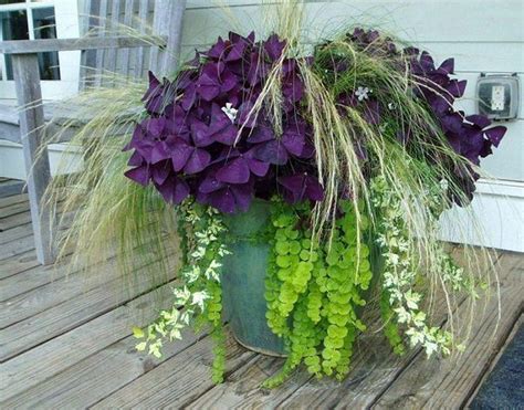 34 Inspiring Winter Container Gardening Ideas Magzhouse Container