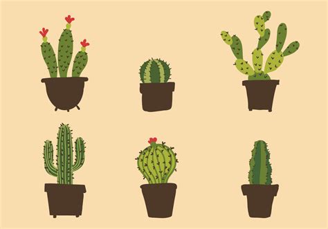 Cactus Illustration Set 99952 Vector Art At Vecteezy