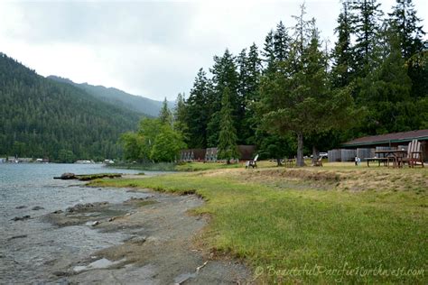 Log Cabin Resort In The Olympic National Park Wa